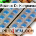 Kangaroo Essence 23
